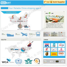 Service d&#39;expédition / Expédition maritime / Service de consolidation depuis la Chine Shenzhen / Guangzhou / Shanghai / Ningbo vers les Emirats Arabes Unis, Dubaï